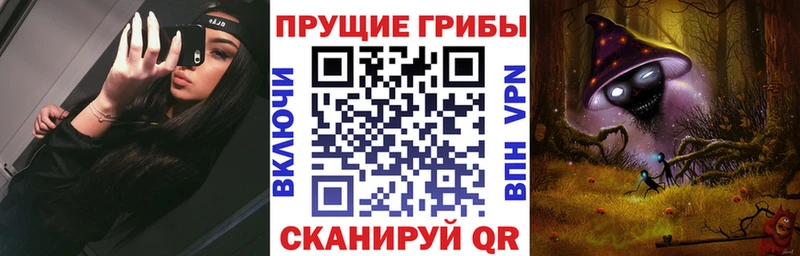 Псилоцибиновые грибы прущие грибы  Плавск 